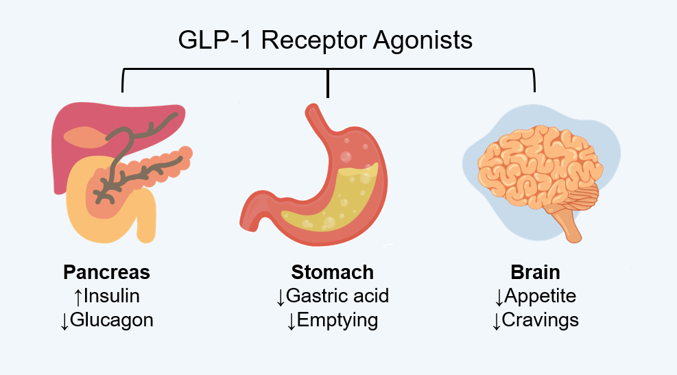 is glp-1 gummy safe GLP-1 Gummies For My Inner Child - by Emily